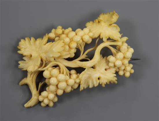 A carved ivory fruiting vine brooch, 57mm.